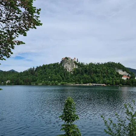 Сasa de vacaciones Anz'k Bled