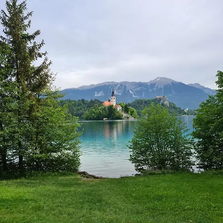 Anz'k * Bled