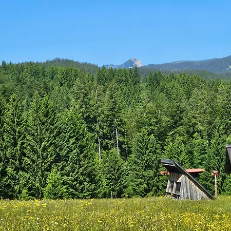 Tatil Evi Anz'k Bled