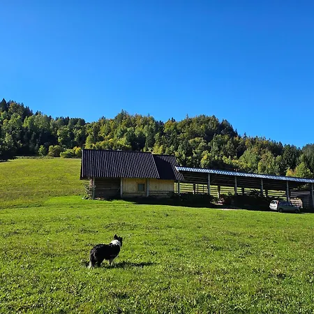 Tatil Evi Anz'k
