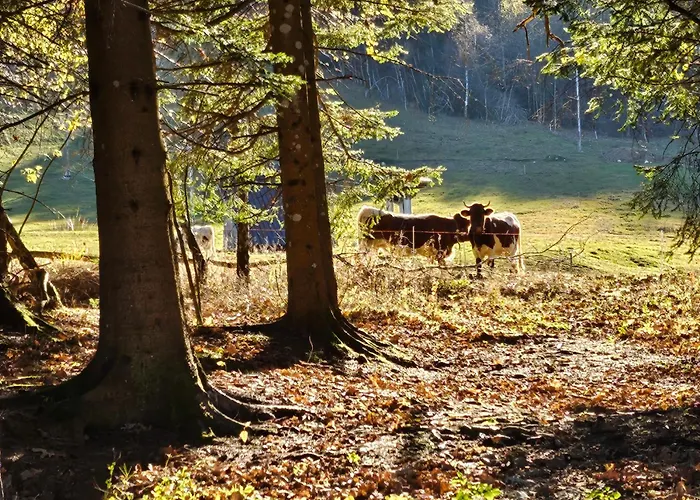 בית נופש Anz'k *